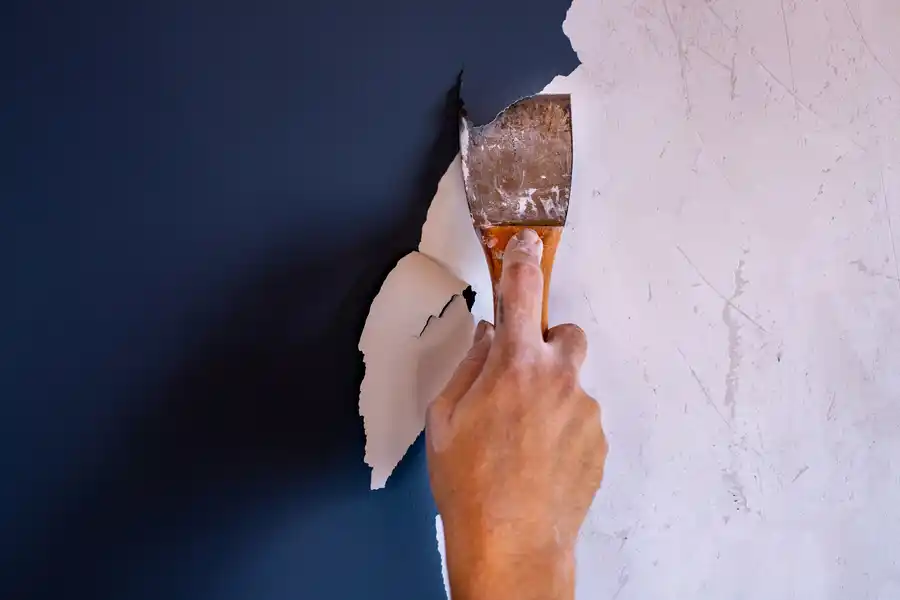 Paint Removal